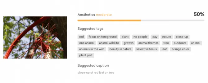A bicikli kerék. Ajánlott cím: közeli kép egy fán levő piros levélről. A furcsa kulcsszavak: egy állat, állat vadvilág, állat témák, szépség a természetben, levél, narancssárga szín, növényi rész. Valóban találó :-)
